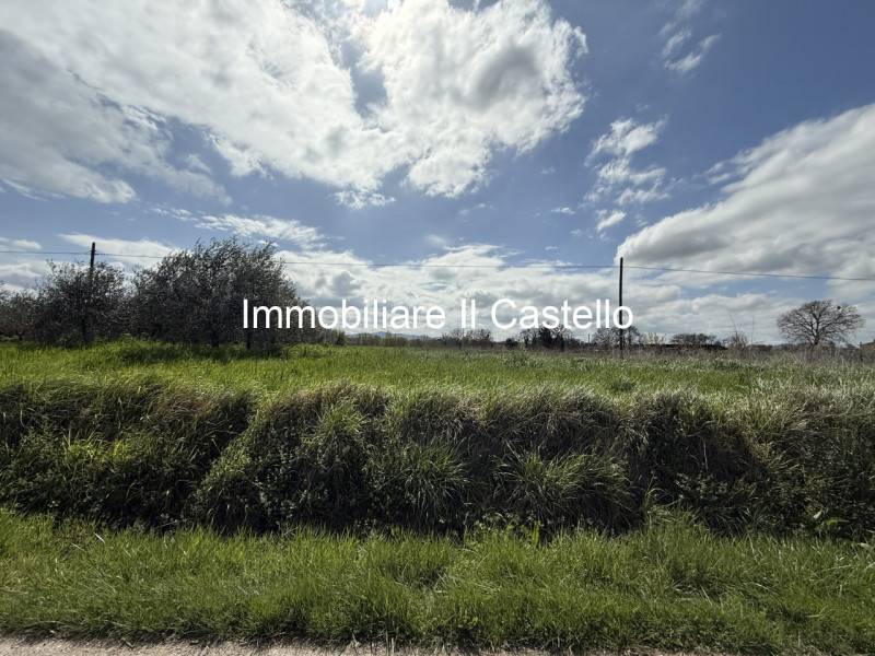 Terreno agricolo Castiglione del Lago, Castiglione del Lago