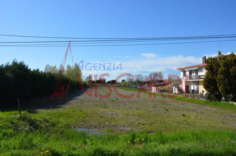Terreno agricolo, Jesolo