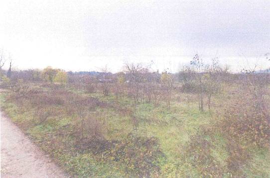  - foto 3