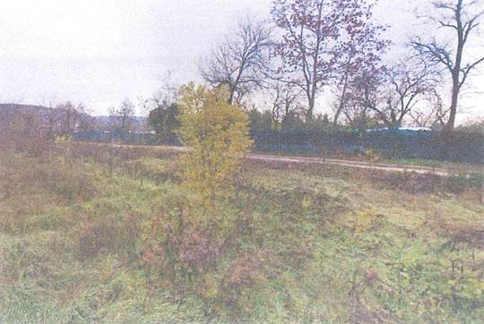  - foto 5