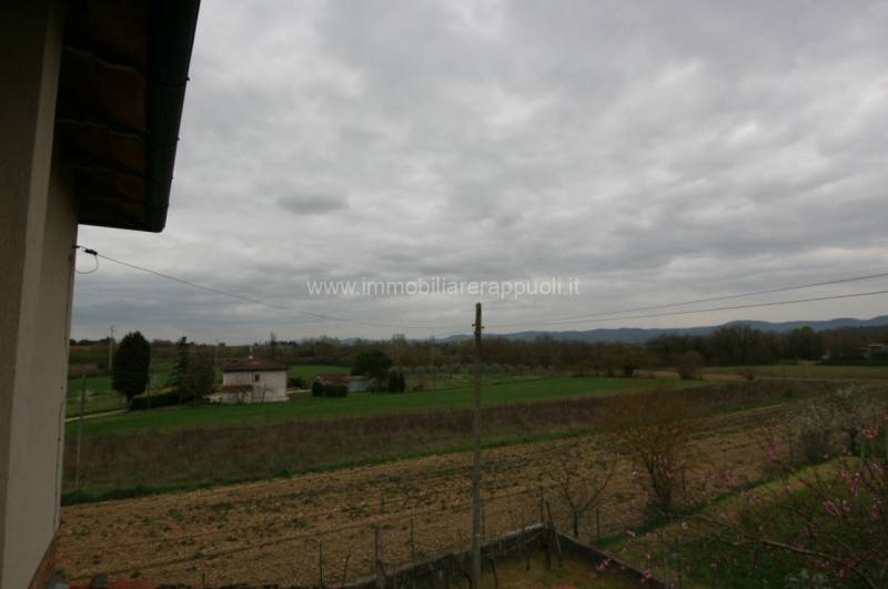  - foto 10