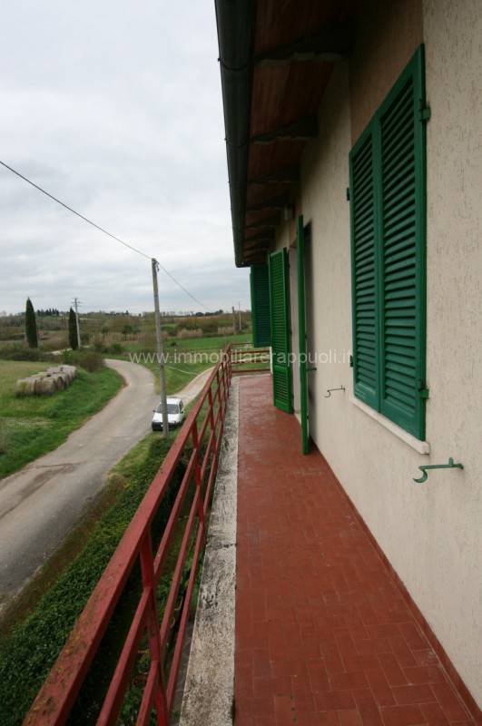 - foto 9