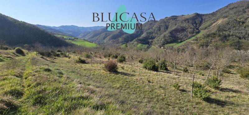 Altro Civitella di Romagna, Civitella di Romagna