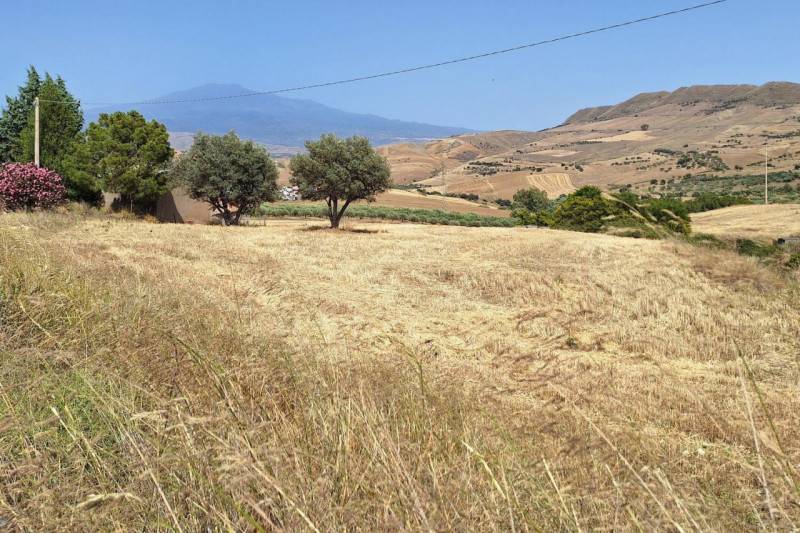 Terreno agricolo, Regalbuto