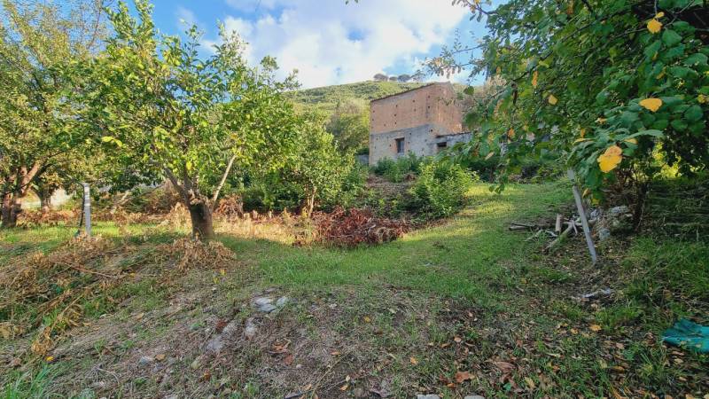 Casa indipendente, Pace del Mela