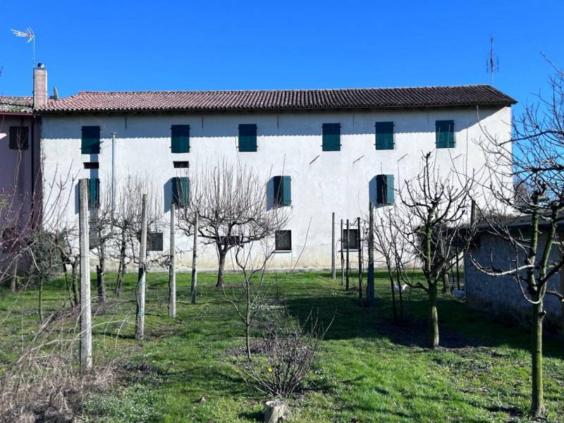 Rustico Gruaro, Gruaro
