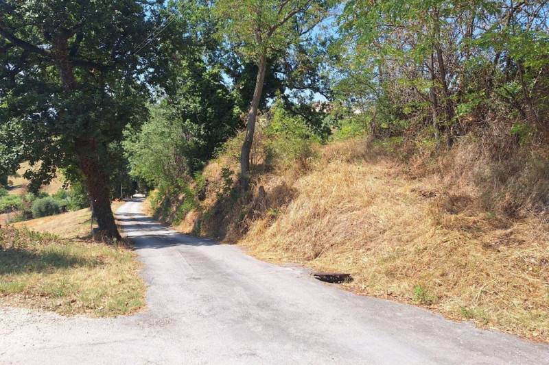  - foto 3