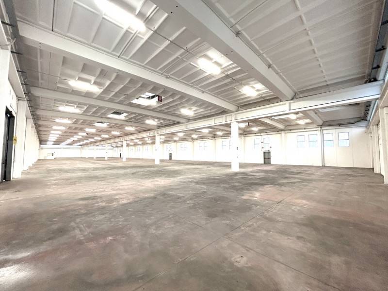 Capannone Prima Periferia, Forlì