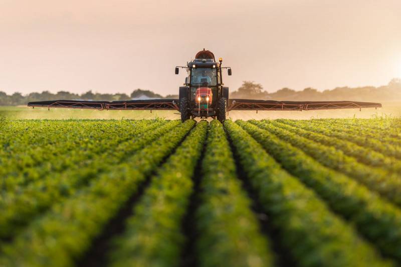 Terreno agricolo, Conselve