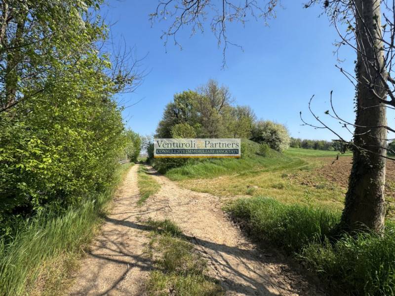 Altro, Lonato del Garda