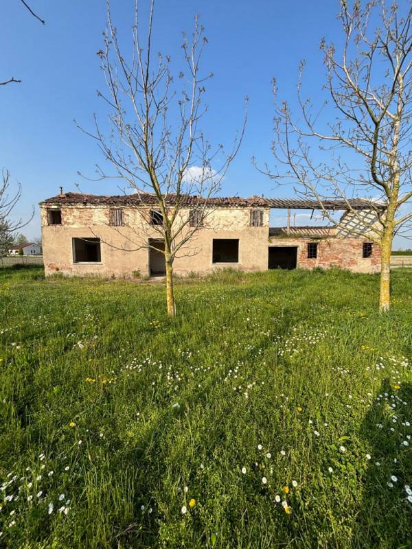 Rustico, Badia Polesine