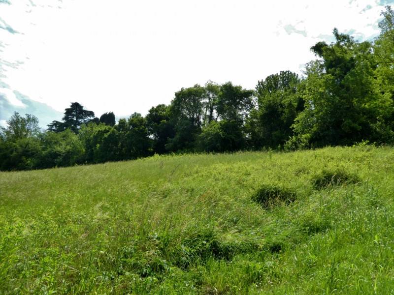  - foto 10