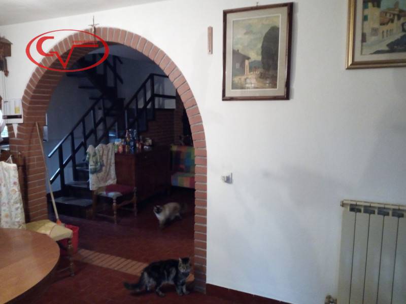  - foto 9