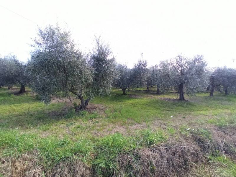  - foto 4