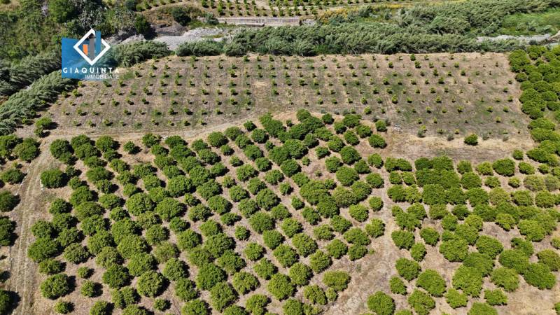 Terreno agricolo, Palagonia