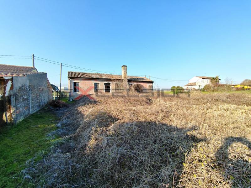 Rustico, Cavarzere