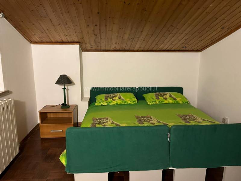  - foto 5