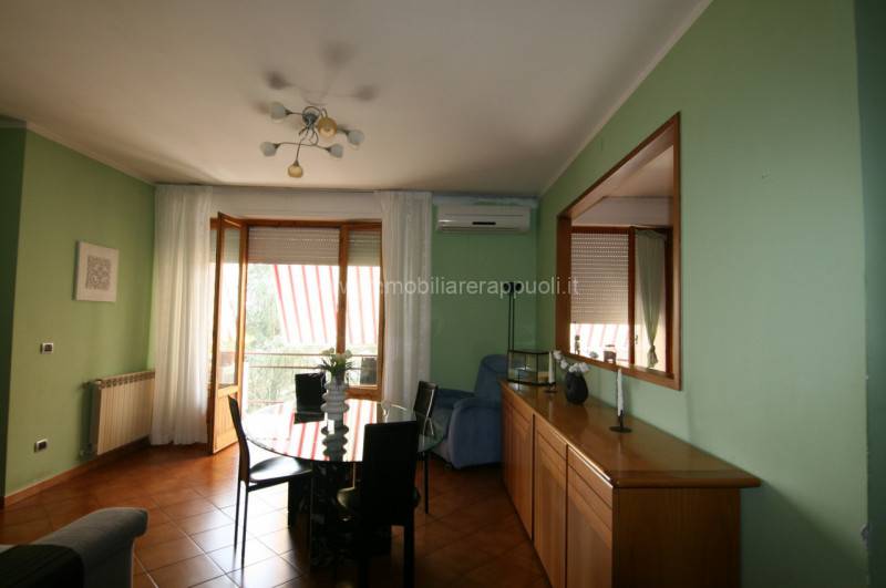  - foto 5