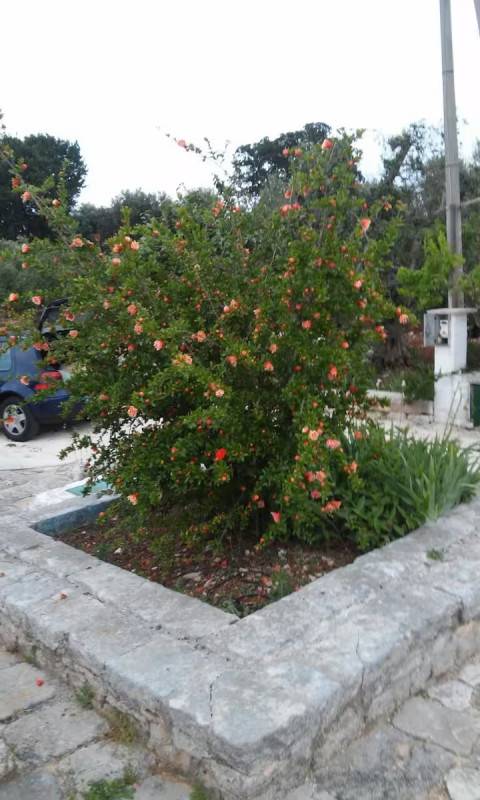  - foto 6