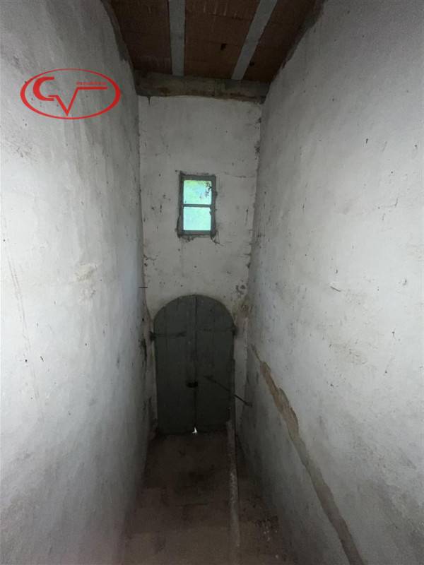  - foto 10