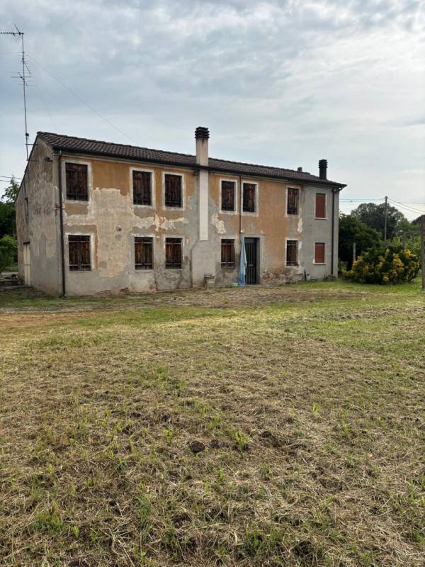 Rustico Masi, Masi