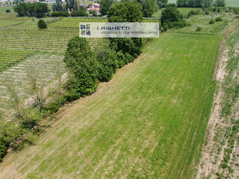 Terreno agricolo Castelnuovo del Garda, Castelnuovo del Garda