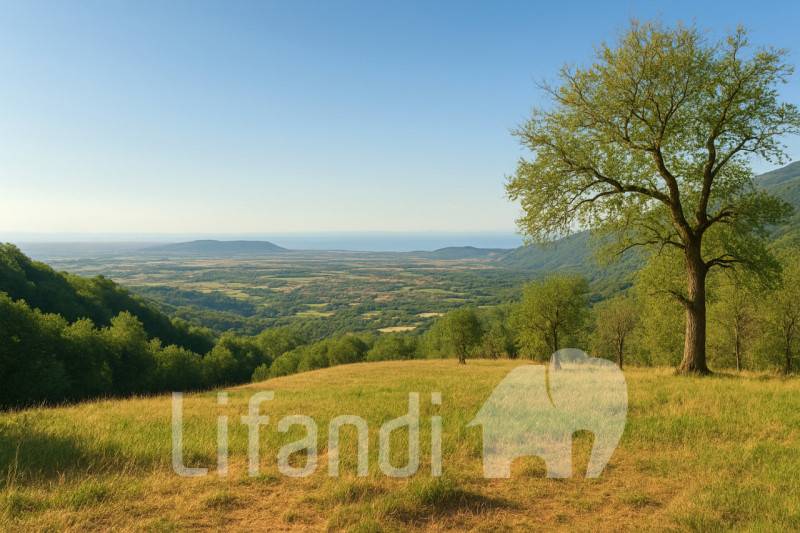  - foto 5