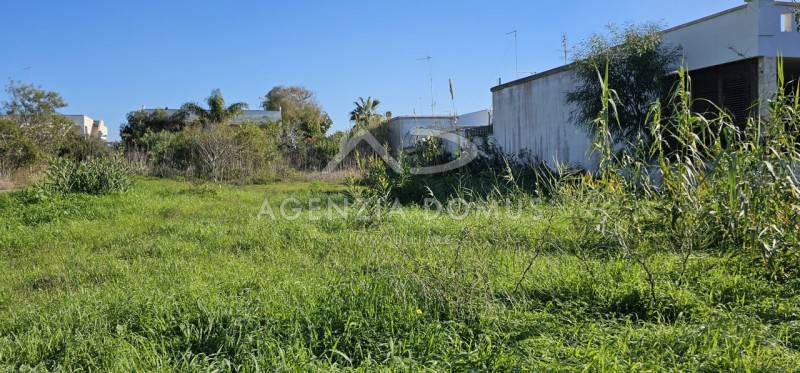  - foto 7
