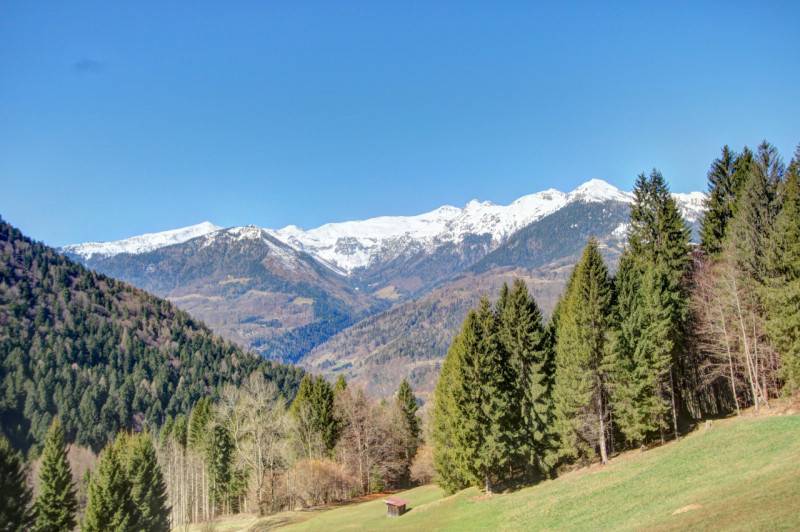 Rustico Bondo, Sella Giudicarie