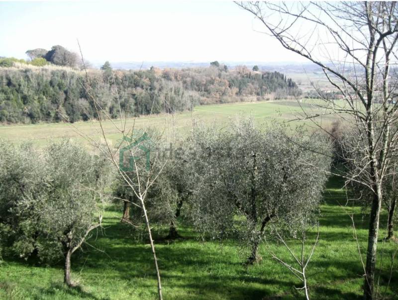  - foto 2
