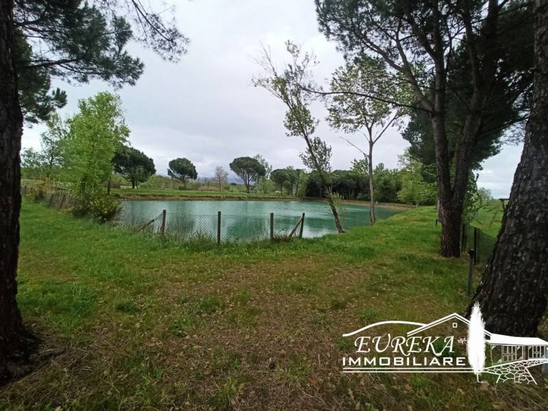 Altro Castiglione del Lago, Castiglione del Lago