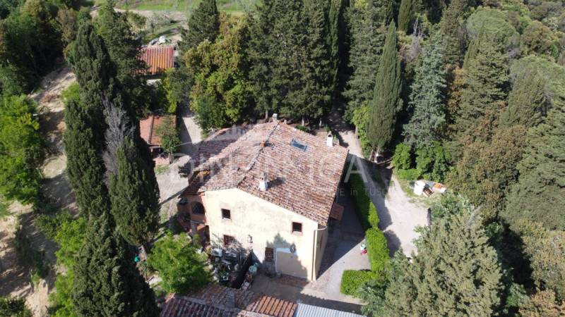 Rustico Usigliano, Palaia