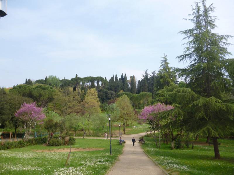  - foto 6
