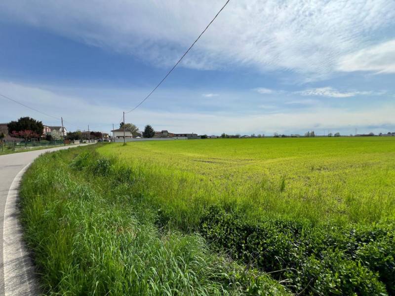 Altro San Pietro, Legnago