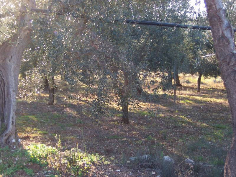  - foto 3