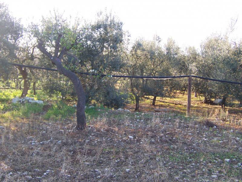  - foto 4