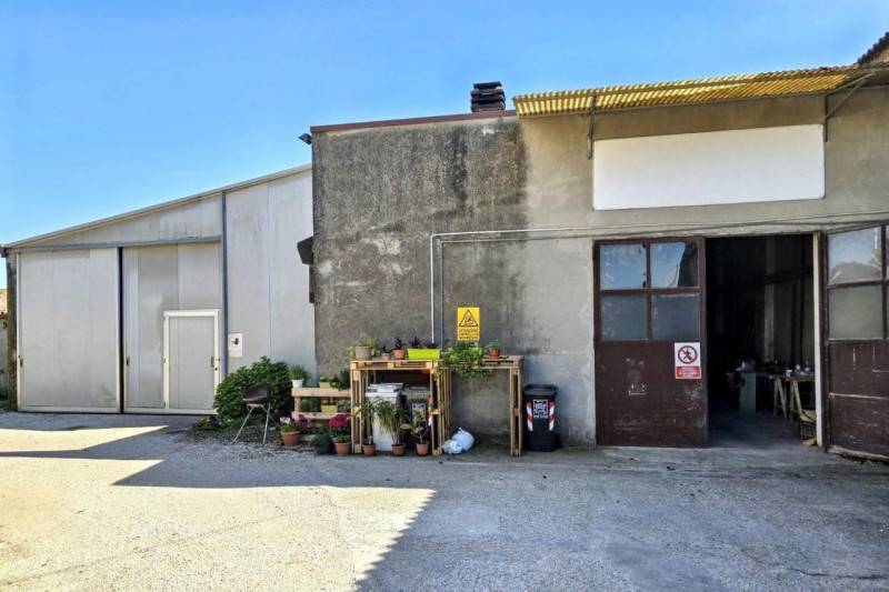Capannone, Costa di Rovigo