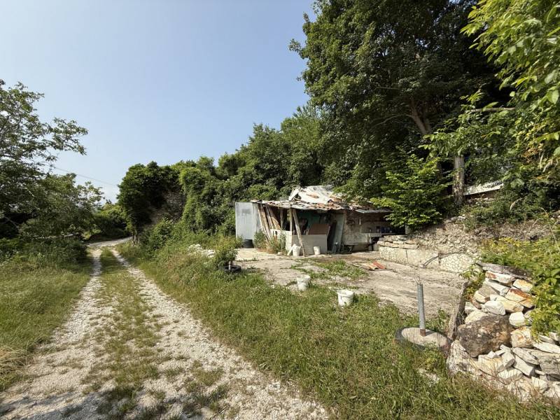 Rustico, Tregnago