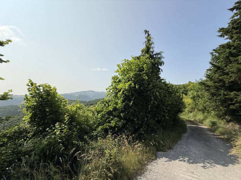  - foto 2