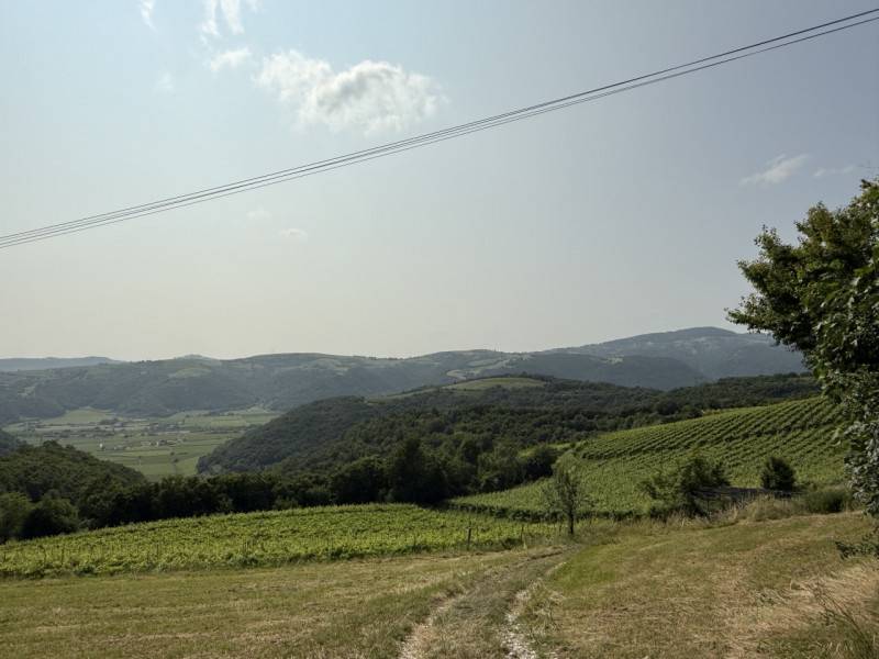  - foto 6