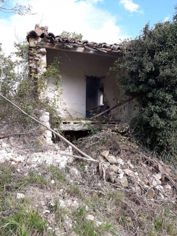  - foto 6