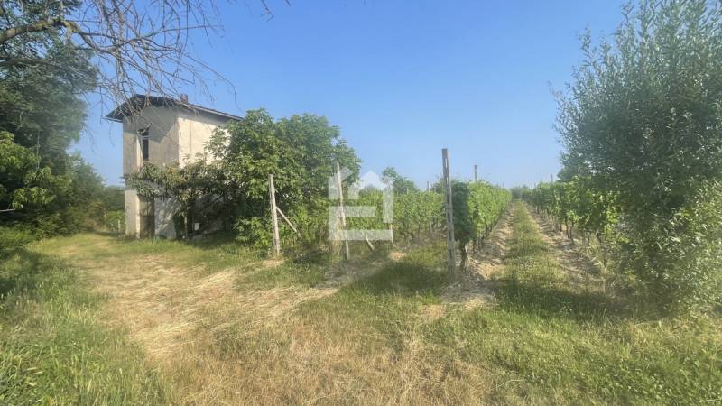 Altro Raffa, Puegnago del Garda