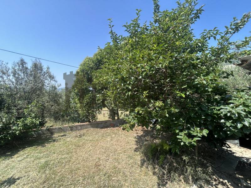  - foto 2