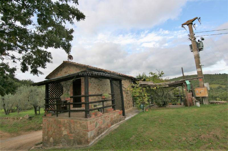  - foto 5
