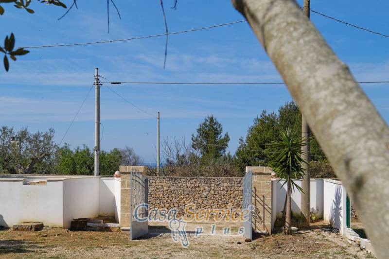  - foto 6