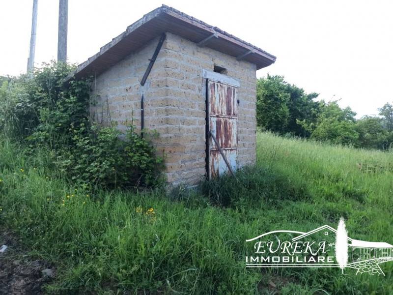 Capannone Gioiella, Castiglione del Lago