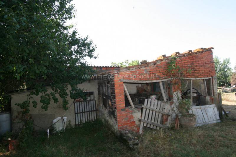  - foto 2