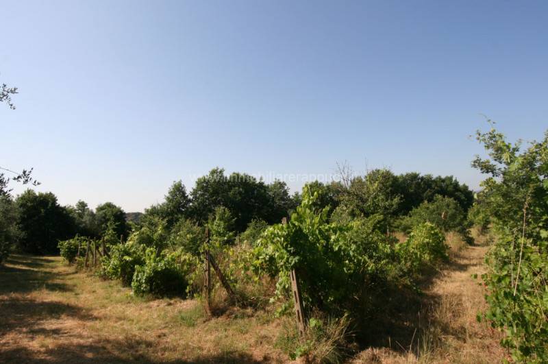  - foto 6
