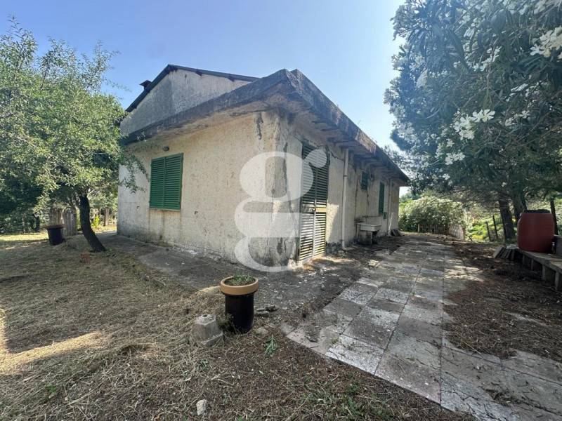 Casa indipendente, Gualtieri Sicaminò