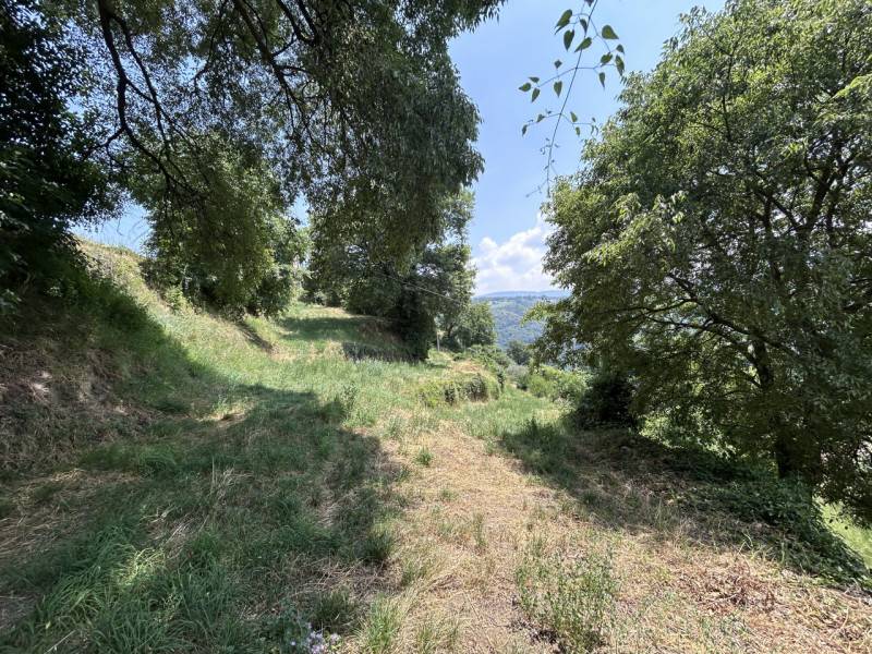  - foto 3